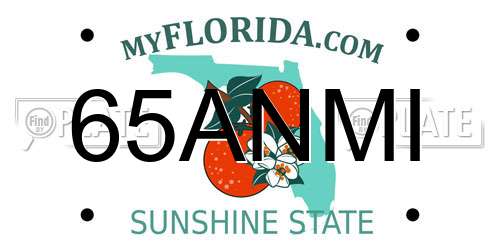 65ANMI Florida License Plate