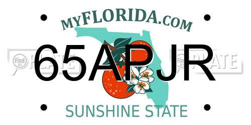 65APJR Florida License Plate