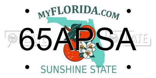 65APSA Florida License Plate