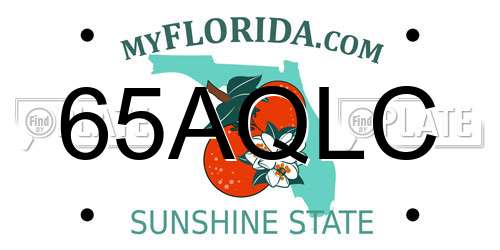 65AQLC Florida License Plate