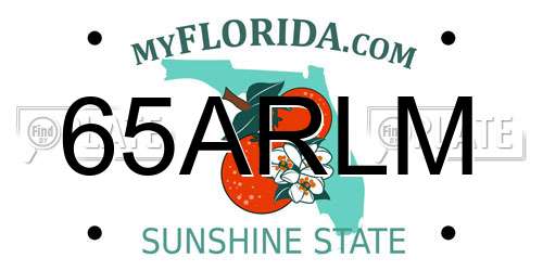 65ARLM Florida License Plate