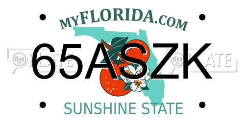 65ASZK Florida License Plate