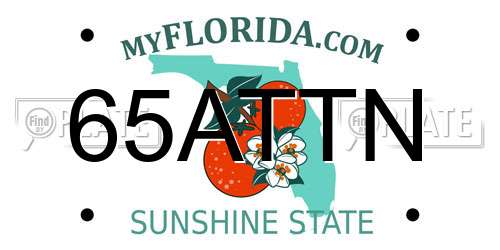 65ATTN Florida License Plate