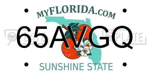 65AVGQ Florida License Plate