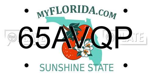65AVQP Florida License Plate