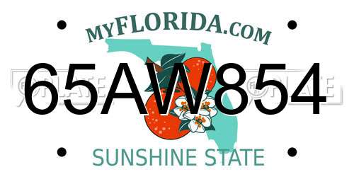 65AW854 Florida License Plate