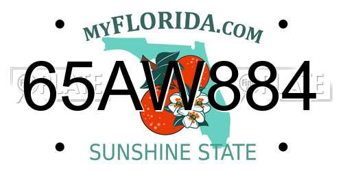 65AW884 Florida License Plate