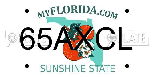 65AXCL Florida License Plate