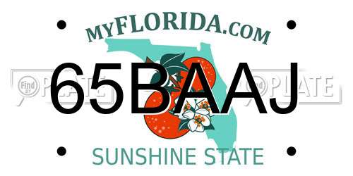 65BAAJ Florida License Plate