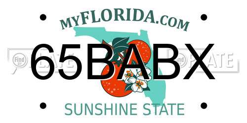 65BABX Florida License Plate