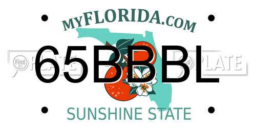 65BBBL Florida License Plate