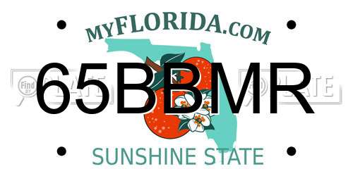 65BBMR Florida License Plate
