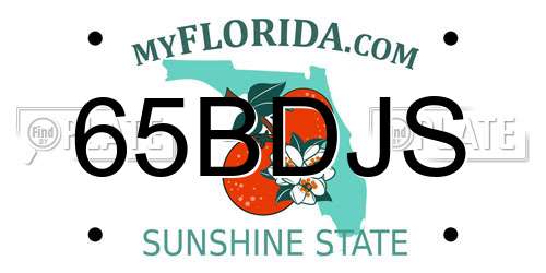 65BDJS Florida License Plate