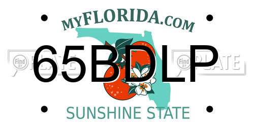 65BDLP Florida License Plate