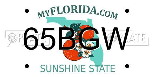 65BGW Florida License Plate