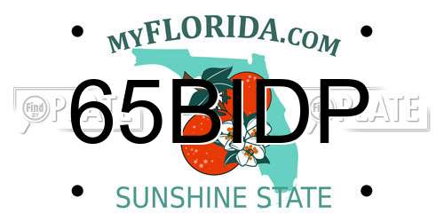 65BIDP Florida License Plate