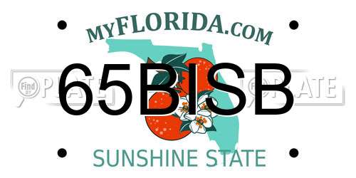 65BISB Florida License Plate