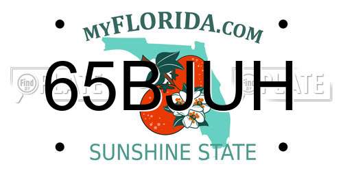 65BJUH Florida License Plate