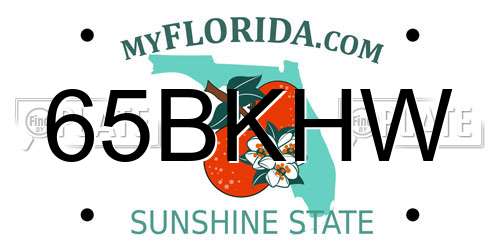 65BKHW Florida License Plate