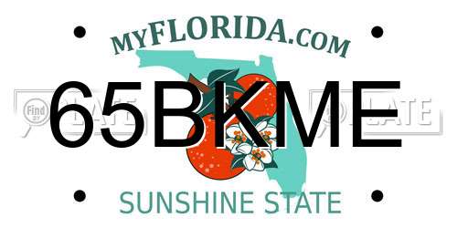 65BKME Florida License Plate