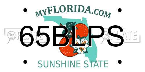 65BLPS Florida License Plate