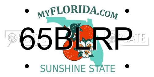 65BLRP Florida License Plate
