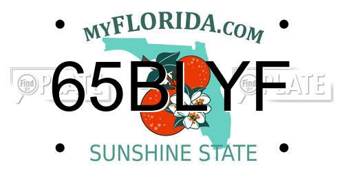 65BLYF Florida License Plate