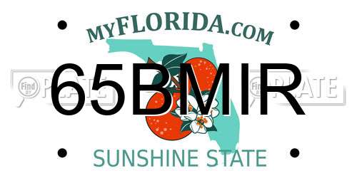 65BMIR Florida License Plate