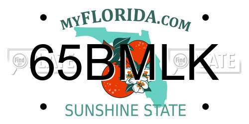 65BMLK Florida License Plate