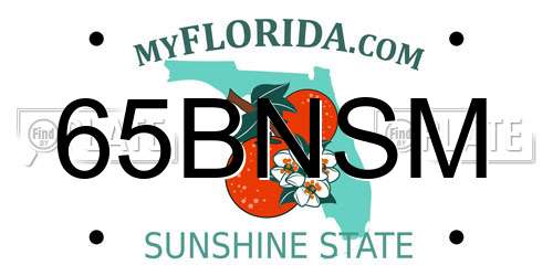 65BNSM Florida License Plate