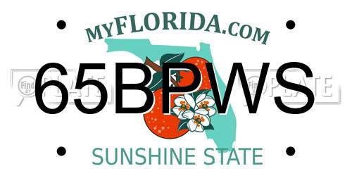 65BPWS Florida License Plate