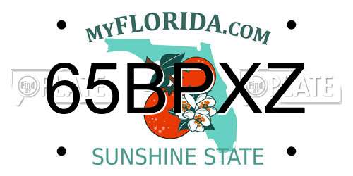 65BPXZ Florida License Plate