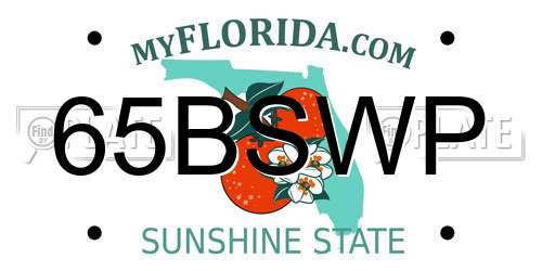 65BSWP Florida License Plate