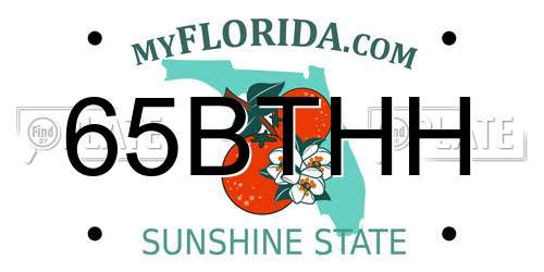 65BTHH Florida License Plate