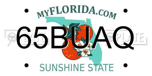 65BUAQ Florida License Plate