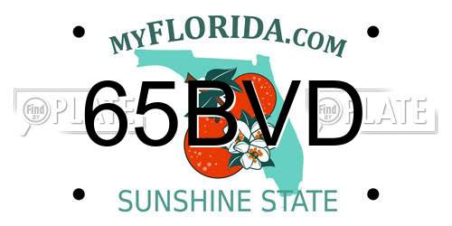 65BVD Florida License Plate