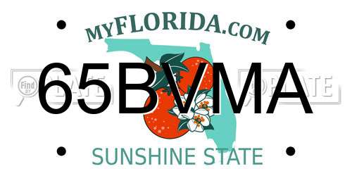 65BVMA Florida License Plate