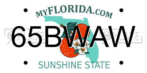 65BWAW Florida License Plate