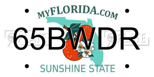 65BWDR Florida License Plate