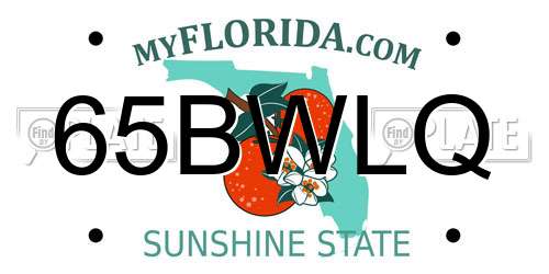 65BWLQ Florida License Plate