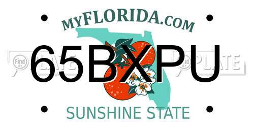 65BXPU Florida License Plate