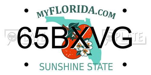 65BXVG Florida License Plate