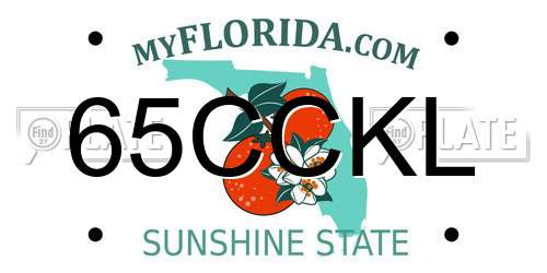 65CCKL Florida License Plate