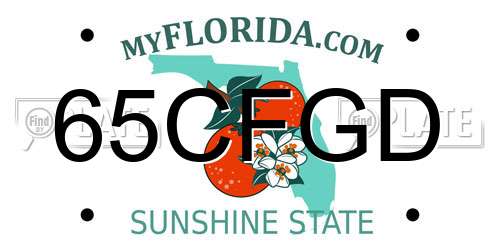65CFGD Florida License Plate