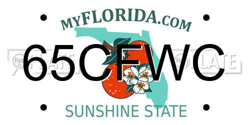 65CFWC Florida License Plate