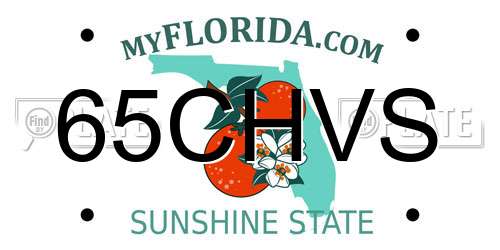 65CHVS Florida License Plate