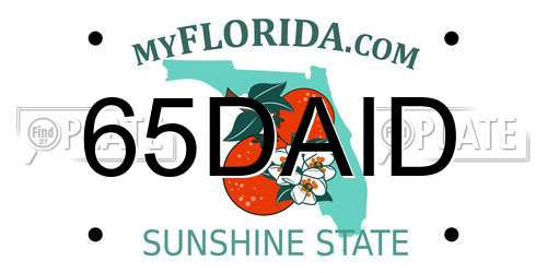 65DAID Florida License Plate
