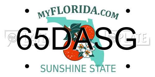65DASG Florida License Plate