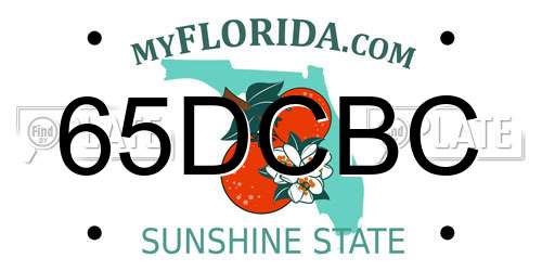 65DCBC Florida License Plate