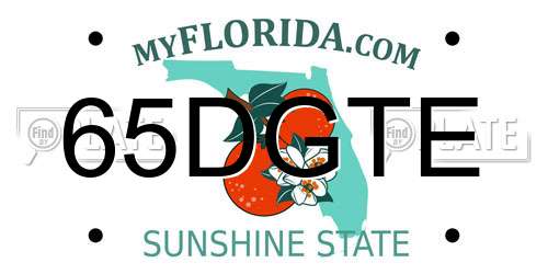 65DGTE Florida License Plate